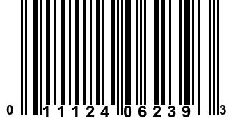 011124062393