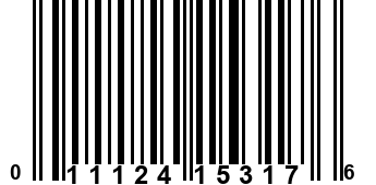 011124153176