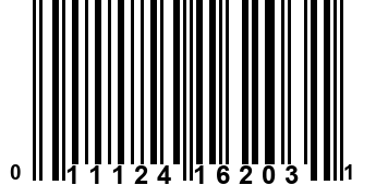 011124162031