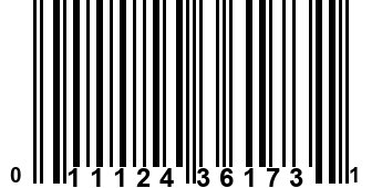 011124361731