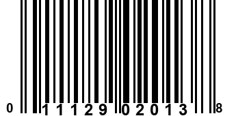 011129020138