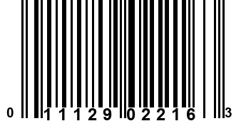 011129022163