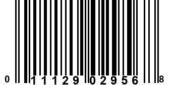 011129029568