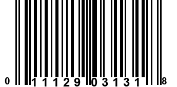 011129031318