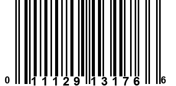 011129131766