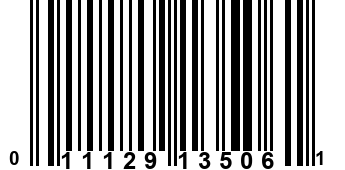 011129135061