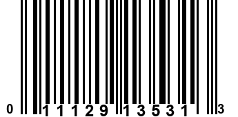 011129135313