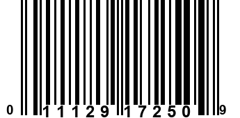 011129172509