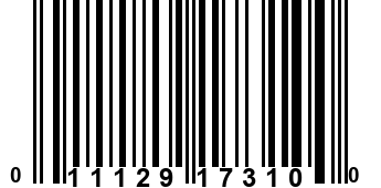 011129173100