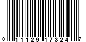 011129173247