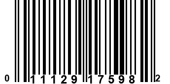 011129175982