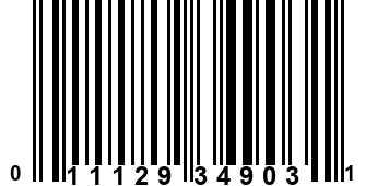 011129349031