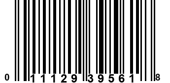 011129395618