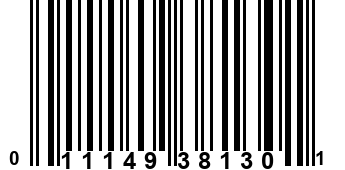 011149381301