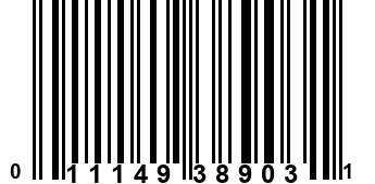 011149389031