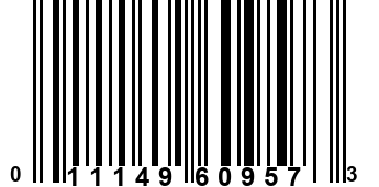 011149609573