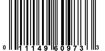 011149609733