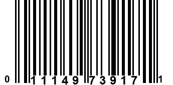 011149739171