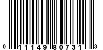 011149807313