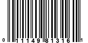 011149813161