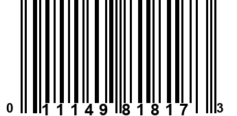 011149818173