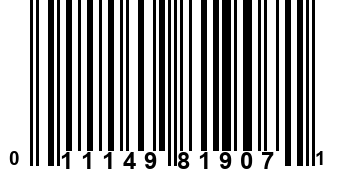 011149819071