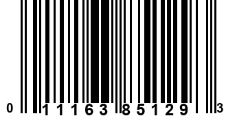 011163851293