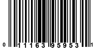 011163959531