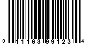 011163991234