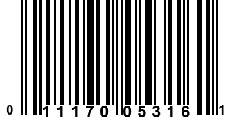 011170053161