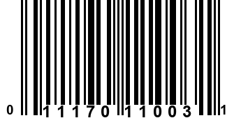 011170110031