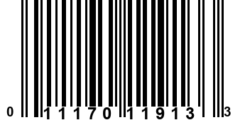 011170119133