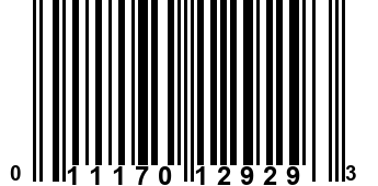 011170129293