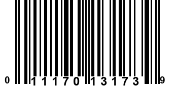 011170131739