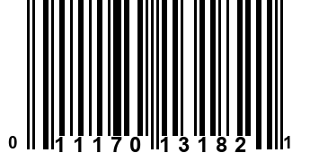 011170131821