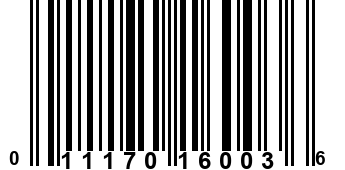 011170160036