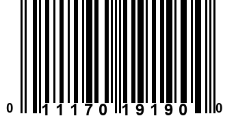 011170191900