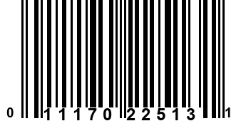 011170225131