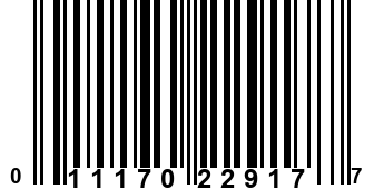 011170229177