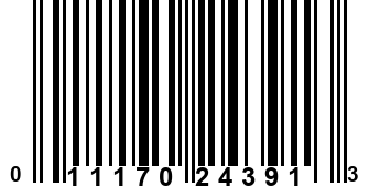 011170243913