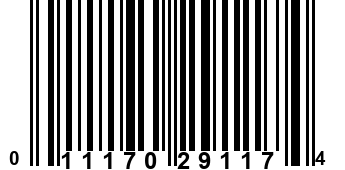 011170291174