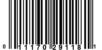 011170291181