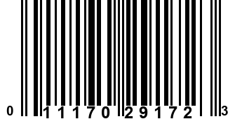 011170291723