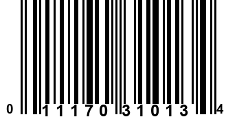 011170310134