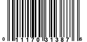 011170313876