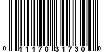 011170317300