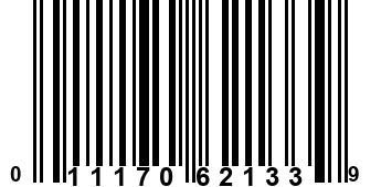 011170621339