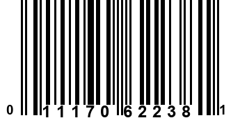 011170622381