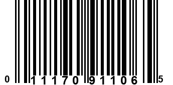 011170911065