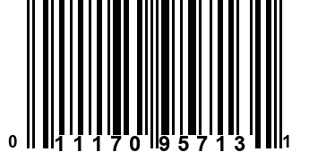 011170957131